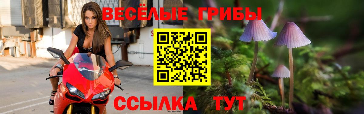 Галлюциногенные грибы прущие грибы Ессентуки